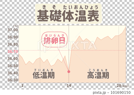 高温期が続く摂氏の基礎体温表のイラスト 101690150