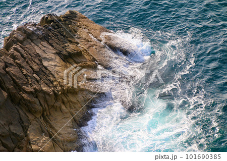 足摺岬公園・亀呼場(高知県・土佐清水市) 足摺岬公園・亀呼場(高知県・土佐清水市) 101690385