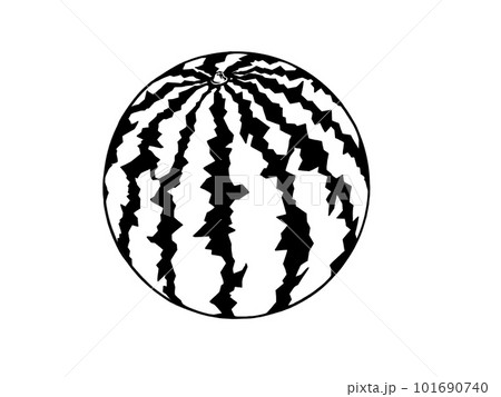 シンプルな丸ごとスイカの線画イラスト シンプルな丸ごとスイカの線画イラスト 101690740
