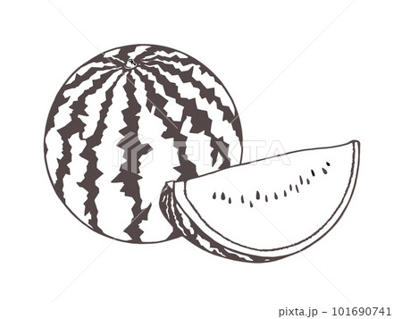 丸ごととカットされたシンプルなスイカの線画イラスト 101690741