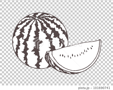 丸ごととカットされたシンプルなスイカの線画イラスト 101690741