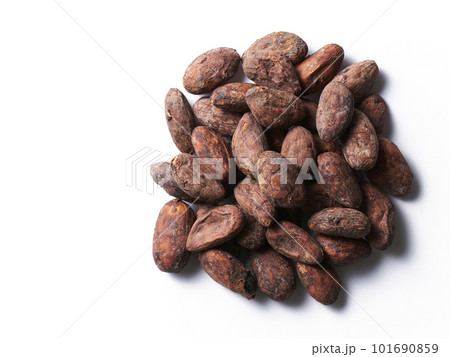 カカオビーンズ、白バック 101690859