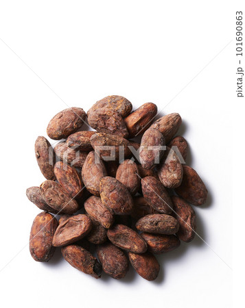 カカオビーンズ、白バック カカオビーンズ、白バック 101690863