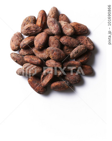 カカオビーンズ、白バック カカオビーンズ、白バック 101690866