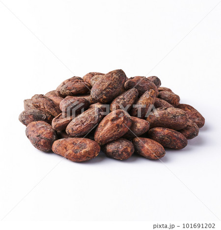 カカオビーンズ、白バック カカオビーンズ、白バック 101691202