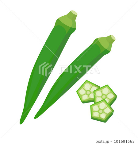 カットされたオクラのベクターイラスト。 101691565