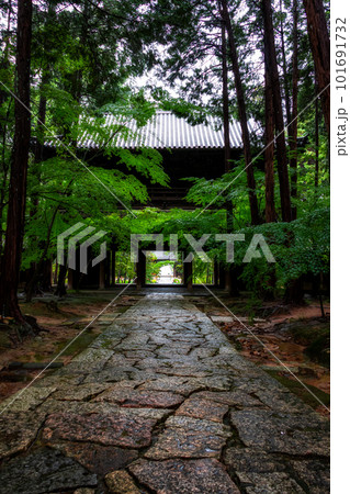 新緑に包まれた曹源寺|縦構図 新緑に包まれた曹源寺|縦構図 101691732