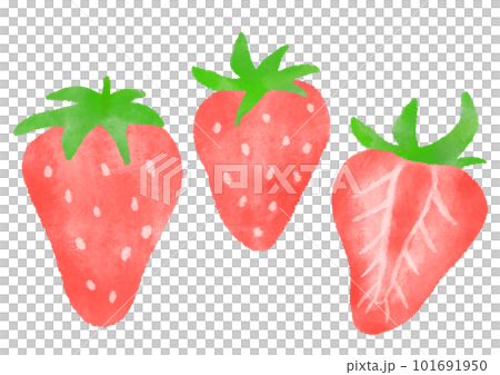 Juicy strawberry simple and cute hand drawn watercolor illustration 101691950