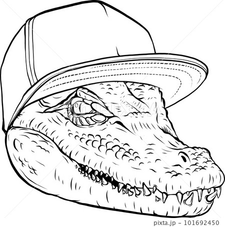 Alligator Head png images  PNGWing