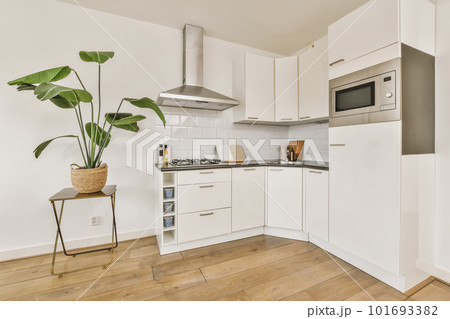 a kitchen with wood flooring and white cabinets in the corner, there is a pot of plants on the counter 101693382