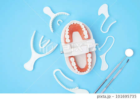 The Teeth model and instrument dental on blue background. The Teeth model and instrument dental on blue background. 101695735