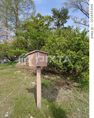 静岡市 駿府城公園内にある徳川家康が植えたミカンと家康公お手植のミカンの看板 静岡市 駿府城公園内にある徳川家康が植えたミカンと家康公お手植のミカンの看板 101695848