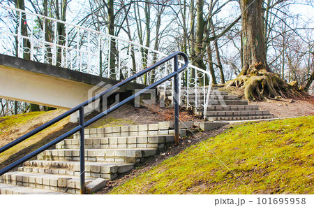 Park stairs in autumn. Autumn landscape surrounded by autumn forest with large roots. 101695958