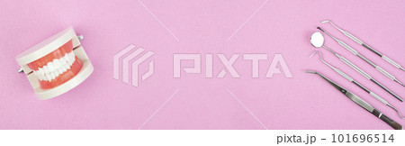 The Model dentures and dental equipment with free space for dental care on pink color background concept. 101696514