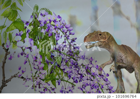 藤の花を観賞する恐竜 藤の花を観賞する恐竜 101696764