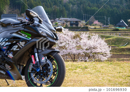 バイクと桜のワンショット 101696930