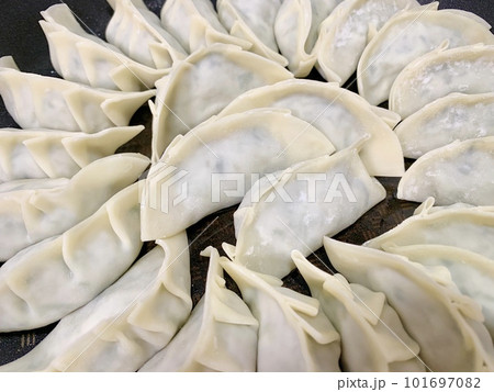 フライパンで焼く餃子 写真素材 フライパンで焼く餃子 写真素材 101697082