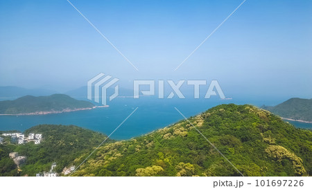 16 April 2023 Full of Hill of Crateva Unilocularis blossom in Hong kong 101697226