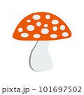 Large red forest mushroom fly agaric. Vector illustration 101697502