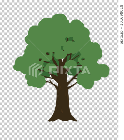 wood  101698018