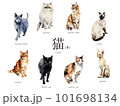 猫の水彩イラスト8種Bセット／AI画像（三毛猫・黒猫・シャム・スフィンクスなど） 101698134