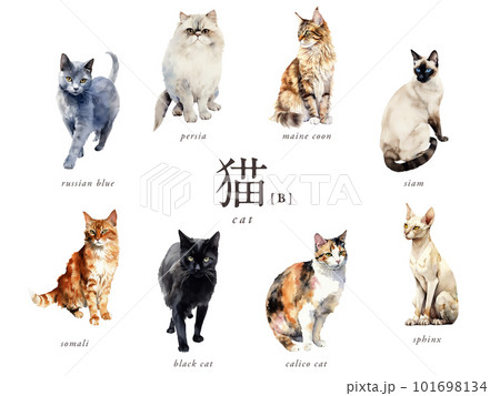 猫の水彩イラスト8種Bセット／AI画像（三毛猫・黒猫・シャム・スフィンクスなど） 101698134