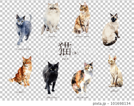 猫の水彩イラスト8種Bセット／AI画像（三毛猫・黒猫・シャム・スフィンクスなど） 101698134