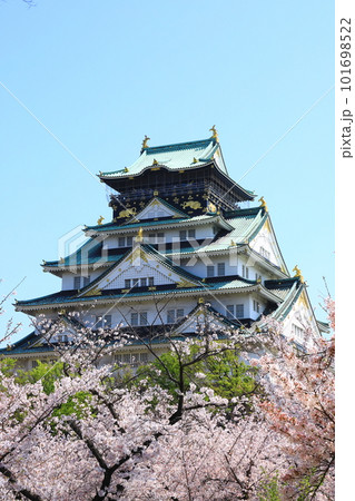 青空に映える大阪城天守閣と満開の桜 101698522