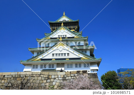 青空に映える大阪城天守閣と満開の桜 101698571