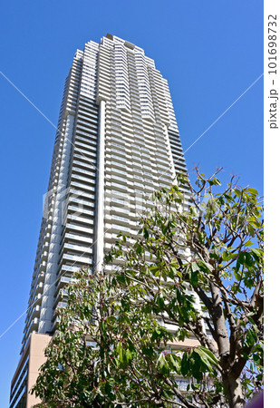 川口散歩：エルザタワー55　超高層マンション　川口市元郷 101698732