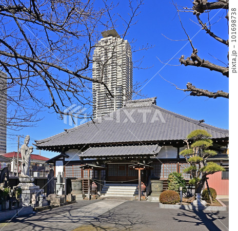 川口散歩：正覚寺　曹洞宗　川口市元郷 101698738