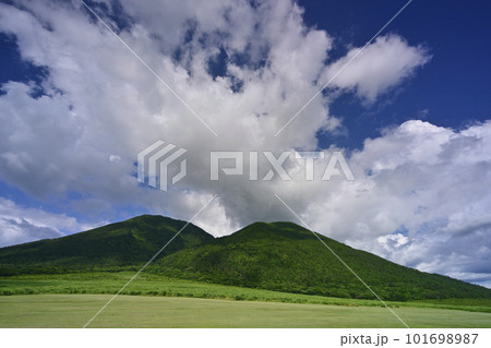 初夏の三瓶山 初夏の三瓶山 101698987