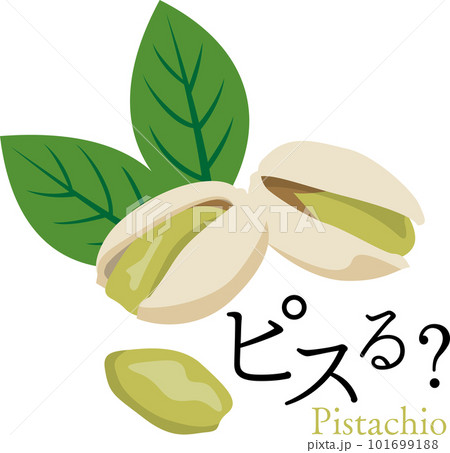 ピスタチオ　ピスる 101699188