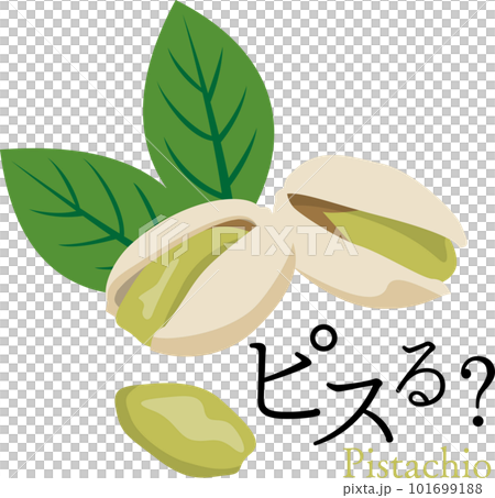 Pistachio Pisuru 101699188