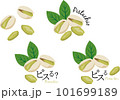 ピスタチオ　セット　ピスる 101699189