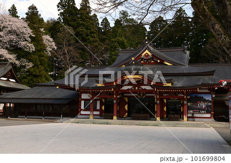 春の盛岡八幡宮 春の盛岡八幡宮 101699804