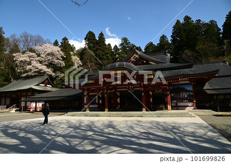 春の盛岡八幡宮 春の盛岡八幡宮 101699826