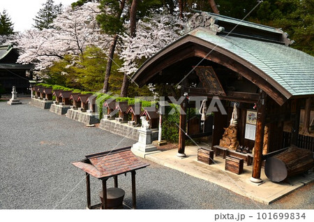春の盛岡八幡宮 101699834