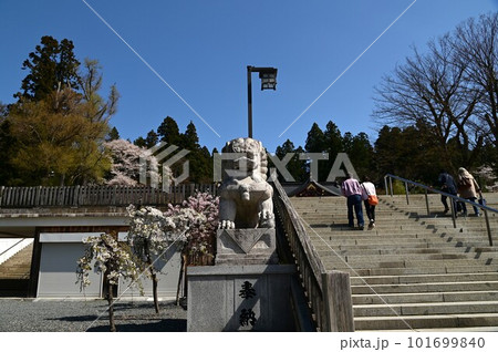 春の盛岡八幡宮 101699840