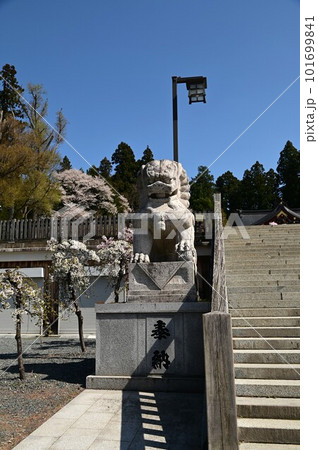 春の盛岡八幡宮 101699841