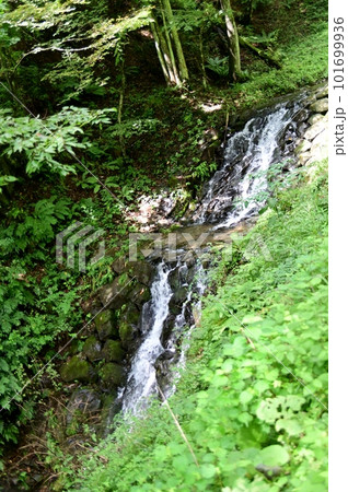 荏沢川石積堰堤の流れ 荏沢川石積堰堤の流れ 101699936