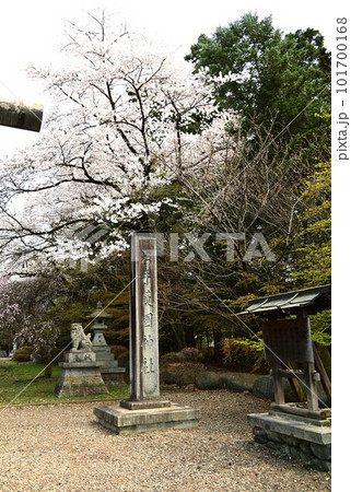 春の岩手護国神社 101700168
