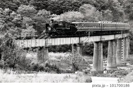 水郡線　C57機関車 101700186