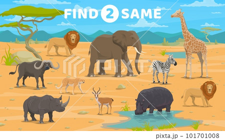 Find two same african savannah animals. Vector worksheet with zebra, rhino, buffalo, lion or hippo. Antelope, cheetah, elephant or giraffe cartoon characters. Kid game for visual cognition development 101701008