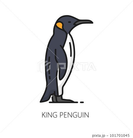 King or emperor penguin isolated color line...のイラスト素材 [101701045] - PIXTA