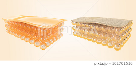 Structure of healthy and damaged skin, young and old, normal and dry, collagen and elastin, 3d render set icons. Skin layers epidermis and dermis with cells isolated on background. 3D illustration 101701516