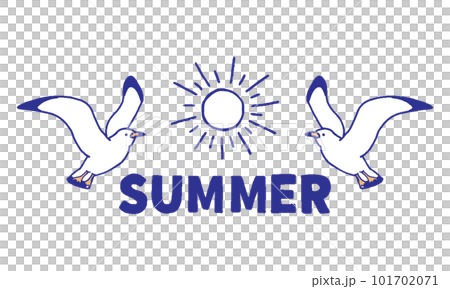 seagull summer illustration 101702071