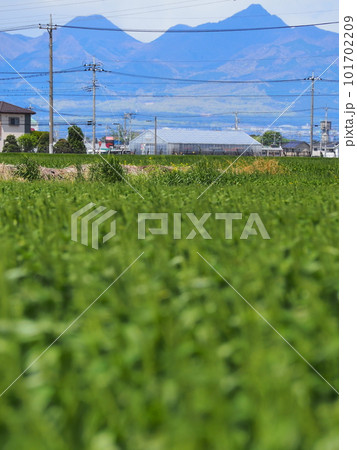 春の榛名山 101702209