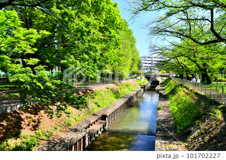 善福寺川緑地／天王橋／善福寺川を上流より望む(東京都杉並区)【2023.4】 101702227