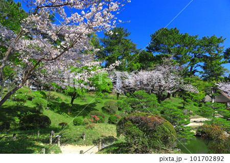 【広島県】桜が満開の縮景園 101702892